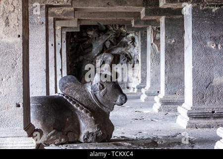 Halle mit dem Stier Nandi, die in der Höhle 15, Höhle hinduistischen Monumenten, Ellora Höhlen, Felsen - Kloster cut-Tempel Höhle, Aurangabad in Maharashtra, Indien. Stockfoto