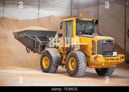 Bagger Schaufel laden Korn. Grossen Haufen von Korn in einem Lagerhaus in der Lebensmittelindustrie geeignet. Stockfoto