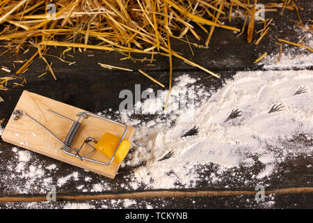 Mausefalle mit einem Stück Käse in der Scheune auf Holz- Hintergrund Stockfoto