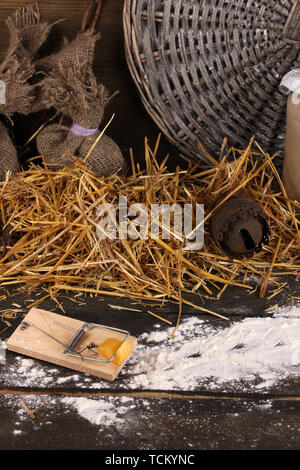 Mausefalle mit einem Stück Käse in der Scheune auf Holz- Hintergrund Stockfoto