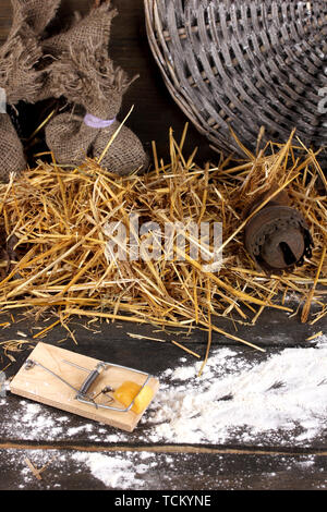 Mausefalle mit einem Stück Käse in der Scheune auf Holz- Hintergrund Stockfoto