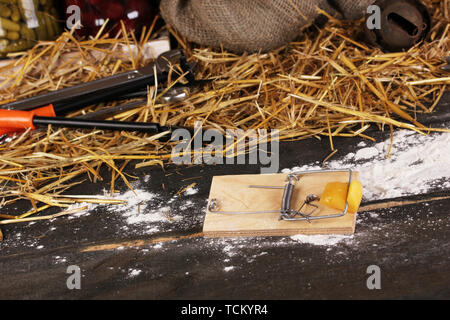 Mausefalle mit einem Stück Käse in der Scheune auf Holz- Hintergrund Stockfoto