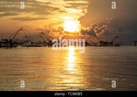 Eine Menge grosse Art von Fisch auf schönen Sonnenaufgang auf den Blick auf die Lagune in Phatthalung Thailand. Stockfoto