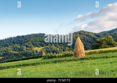 Heuballen auf einem grasbewachsenen Hügel. traditionellen ländlichen Szenerie, Karpaten Landschaft in den Bergen. ruhigen sonnigen Vormittag mit Wolke am Himmel Stockfoto