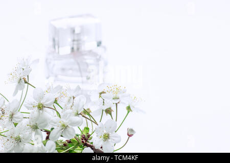 Zweig der Kirsche Blüte auf einem weißen Hintergrund. Flasche Parfüm Stockfoto