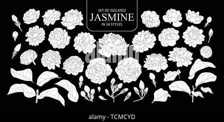 Eingestellt von isolierten weißen silhouette Jasmin in 34 Arten. Süße Hand gezeichnet Blume Vector Illustration in weißen Fläche ohne Umriss auf schwarzem Hintergrund. Stock Vektor
