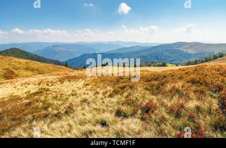 Wiesen von den Karpaten krasna Ridge. wunderbar sonniger Landschaft mit flauschigen Wolken am Horizont. Bergkette in der Ferne. Stockfoto