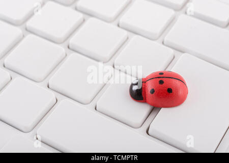 Marienkäfer/Marienkäfer an leeren weißen QWERTZ-Tastatur des PC-visuelle Metapher für das Konzept der Computer Fehler oder viralen/System 'Infektion', computer Gremlins Stockfoto