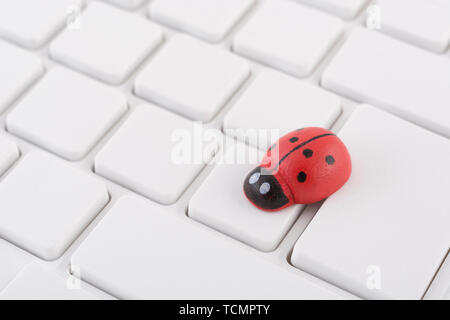 Marienkäfer/Marienkäfer an leeren weißen QWERTZ-Tastatur des PC-visuelle Metapher für das Konzept der Computer Fehler oder viralen/System 'Infektion', computer Gremlins Stockfoto