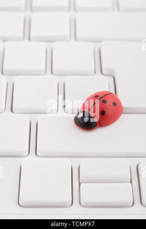 Marienkäfer/Marienkäfer an leeren weißen QWERTZ-Tastatur des PC-visuelle Metapher für das Konzept der Computer Fehler oder viralen/System 'Infektion', computer Gremlins Stockfoto