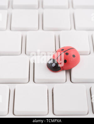 Marienkäfer/Marienkäfer an leeren weißen QWERTZ-Tastatur des PC-visuelle Metapher für das Konzept der Computer Fehler oder viralen/System 'Infektion', computer Gremlins Stockfoto