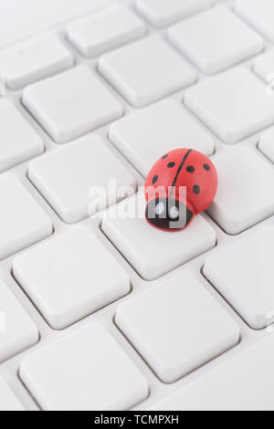 Marienkäfer/Marienkäfer an leeren weißen QWERTZ-Tastatur des PC-visuelle Metapher für das Konzept der Computer Fehler oder viralen/System 'Infektion', computer Gremlins Stockfoto