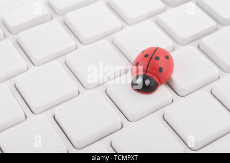 Marienkäfer/Marienkäfer an leeren weißen QWERTZ-Tastatur des PC-visuelle Metapher für das Konzept der Computer Fehler oder viralen/System 'Infektion', computer Gremlins Stockfoto