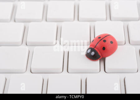 Marienkäfer/Marienkäfer an leeren weißen QWERTZ-Tastatur des PC-visuelle Metapher für das Konzept der Computer Fehler oder viralen/System 'Infektion', computer Gremlins Stockfoto