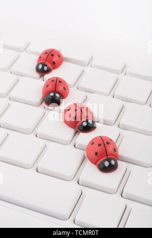 Marienkäfer/Marienkäfer an leeren weißen QWERTZ-Tastatur des PC-visuelle Metapher für das Konzept der Computer Fehler oder viralen/System 'Infektion', computer Gremlins Stockfoto