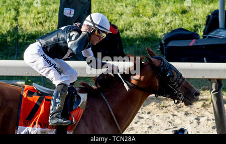 Elmont, NY, USA. 8. Juni 2019. Juni 8, 2019: Platz 7, Sir Winston, geritten von Jockey Joel Rosario, gewinnt der 151 Belmont Stakes auf Belmont Stakes Festival Samstag am Belmont Park in Elmont, New York. John voorhees/Eclipse Sportswire/CSM/Alamy leben Nachrichten Stockfoto