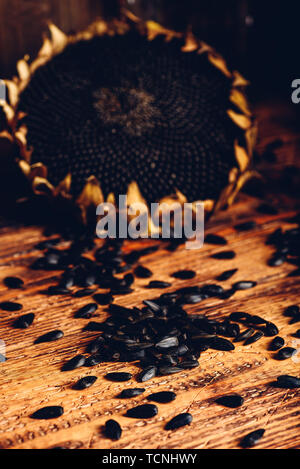 Getrocknete Sonnenblumen und gerösteten Samen auf dem alten Holztisch Stockfoto
