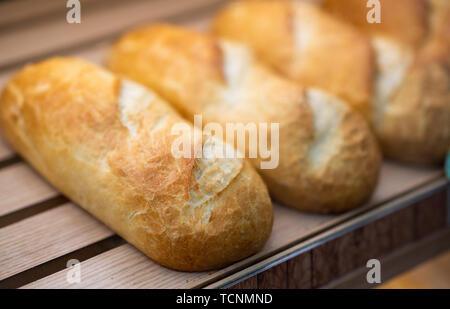 Frisches Brot im Supermarkt. Detail eines frisch gebackenes Brot in einer Reihe im Supermarkt. Stockfoto