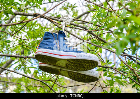 Alte, abgetragene blaue Sport Stiefel hängt am Baum mit grünen Blättern. Verloren Sneakers auf den Baum Stockfoto