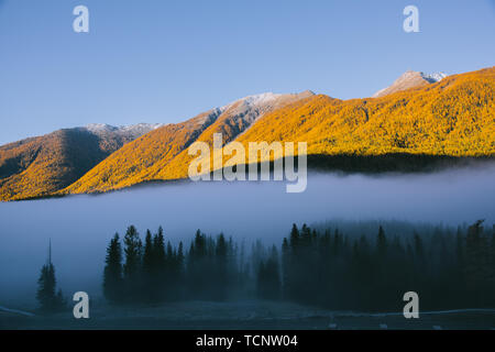 Nebel Wetter Stockfoto