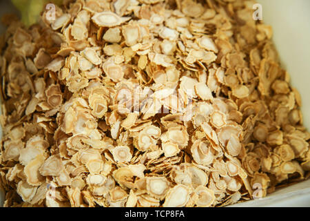 Amerikanischer ginseng Stockfoto