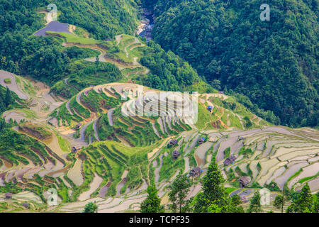 Südosten Guizhou, Yunnan Province, China, die Landschaft von den Terrassen, dem cascading Terrassen in den Tälern Stockfoto
