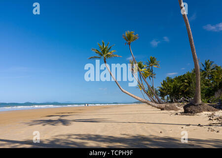 Antenne top Blick auf den Strand mit weissem Sand, schöne Palmen und warmen, türkisfarbenen tropischen Wasser im tropischen Paradies Insel, Tropen Stockfoto