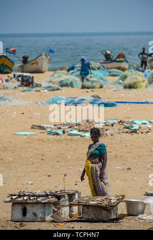 Armut in Chennai, Indien, wo eine Dame Fische aus der Bucht von Bengalen auf Marina Beach gefangen Stockfoto