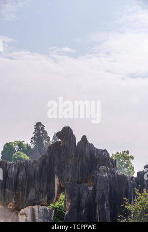 Stone Forest Scenic Area, wie die Welt Geopark in Kunming, Provinz Yunnan, China bekannt. Stockfoto