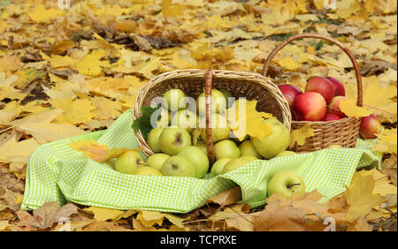 Körbe mit frischen Reifen die Äpfel im Garten im Herbst Blätter Stockfoto