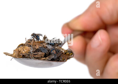 Viele tote Insekten liegen auf einem Esslöffel in der Hand gehalten, isoliert auf weißem Stockfoto