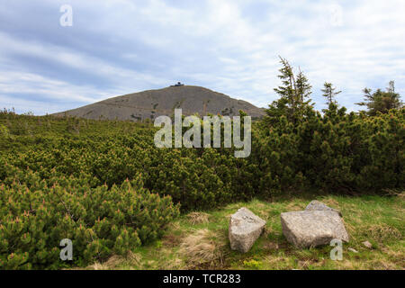 Blick auf den Sniezka. Die Mountain Trail im Riesengebirge auf der Polnischen und Tschechischen Grenze. Stockfoto