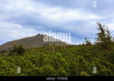 Blick auf den Sniezka. Die Mountain Trail im Riesengebirge auf der Polnischen und Tschechischen Grenze. Stockfoto