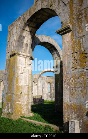 Abtei der Heiligen Dreifaltigkeit in Venosa. Innenansicht der unvollendete Kirche namens Incompiuta. Region Basilicata, Italien Stockfoto