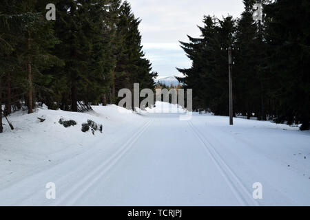 Skilanglauf im Isergebirge. Berg winter Track. Winterlandschaft. Stockfoto