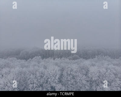 Feld und weiß Gefrorene Bäume im Nebel im Winter, Luftaufnahme von der Höhenlage Stockfoto