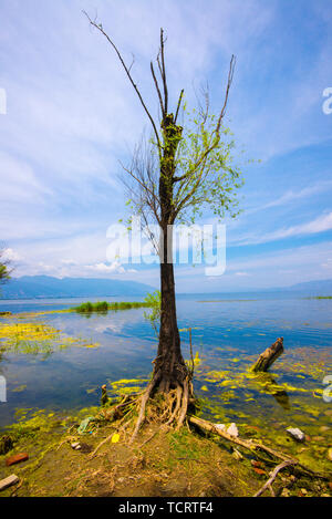 Die Landschaft von Pounder, Dali, Yunnan Stockfoto