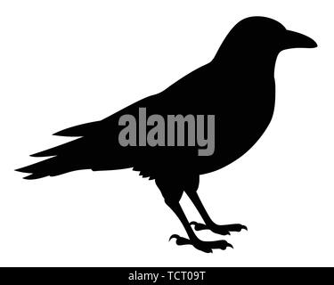 Silhouette eines Black Raven. Vector schwarz weiß Abbildung: Stock Vektor