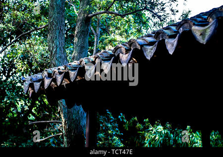 Herbst Farbe in Suzhou Garten Stockfoto