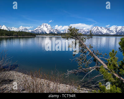 Der Schnee - gefüllte Grand Teton Glacier Lake Jackson Lake. Stockfoto