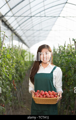 Junge schöne chinesische Frau arbeitet im grünen Bereich Stockfoto