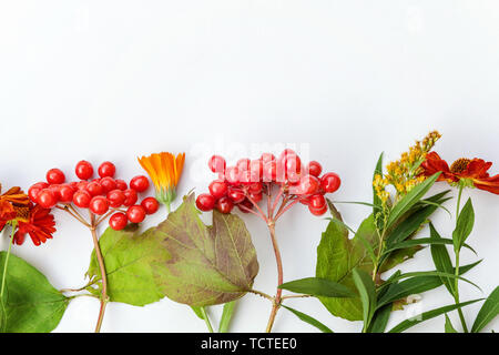Herbst florale Komposition. Rahmen aus Herbst pflanzen viburnum Beeren, orange frische Blumen auf weißem Hintergrund. Herbst Herbst natürlichen Pflanzen Ökologie wallpaper Konzept. Flach, Ansicht von oben, kopieren Raum Stockfoto
