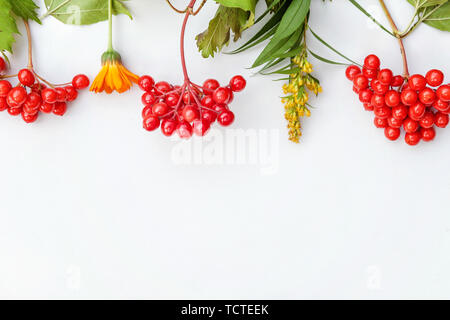 Herbst florale Komposition. Rahmen aus Herbst pflanzen viburnum Beeren, orange frische Blumen auf weißem Hintergrund. Herbst Herbst natürlichen Pflanzen Ökologie wallpaper Konzept. Flach, Ansicht von oben, kopieren Raum Stockfoto
