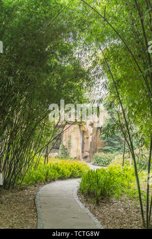 Bambus Wald Grünland Straße in Chengdu Stockfoto