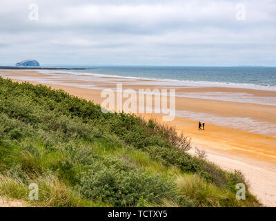 Tyninghame Strand, East Lothian, Schottland, Vereinigtes Königreich, 10. Juni 2019. UK Wetter: Ebbe auf dem riesigen Sandstrand an der Küste mit einem Paar zu Fuß am Strand und Blick auf die Bass Rock gannet Kolonie in der Ferne Stockfoto