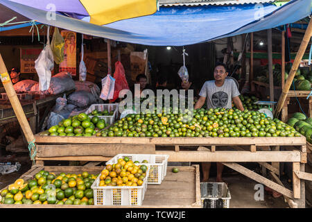 Makassar, Sulawesi, Indonesien - 28. Februar 2019: Terong Street Market. Zitrusfrüchte Stand bietet Haufen verschiedener Arten, Kugel Groß und Klein Stockfoto