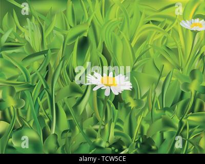 Frühjahr grünes Gras und chomomile. 3D-Vektor realistische Landschaft. Realistisches Gras mit Kamille. Stock Vektor