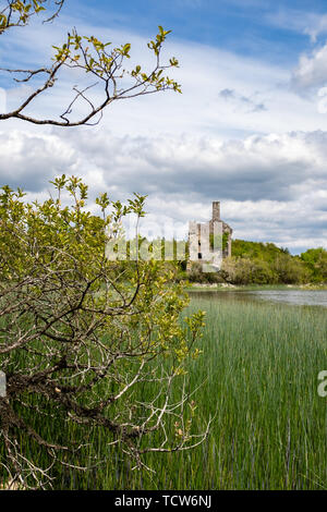 Blick auf die Burg Cahermacrea aus über dem See vor dem Schloss, kann dies auf der Dromore finden Holz gesehen in der Grafschaft Clare, Irland entfernt werden, Stockfoto