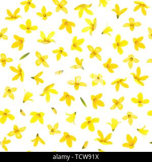 Golden Bell nahtlose Muster, Forsythia suspensa, Spring Branch mit blühenden gelben Blumen. Vector Illustration. Sommer Dekor. Für Abzüge, Poster Stock Vektor