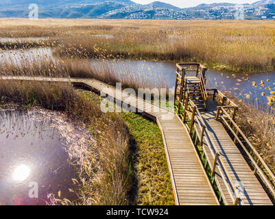 Luftaufnahme von einem Vogel Observatorium in der Feuchtgebiete im Naturpark La Marjal Pego und Oliva, Spanien. Stockfoto